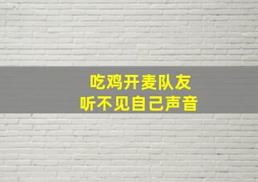 吃鸡开麦队友听不见自己声音