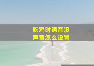 吃鸡时语音没声音怎么设置