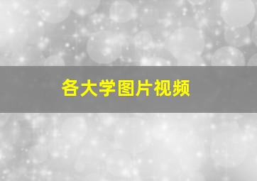 各大学图片视频