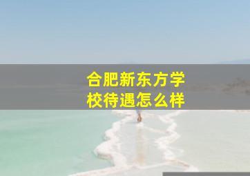 合肥新东方学校待遇怎么样