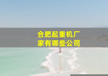 合肥起重机厂家有哪些公司