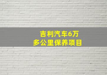 吉利汽车6万多公里保养项目