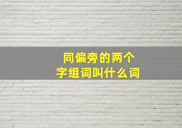 同偏旁的两个字组词叫什么词