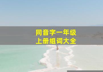 同音字一年级上册组词大全