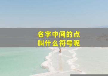 名字中间的点叫什么符号呢