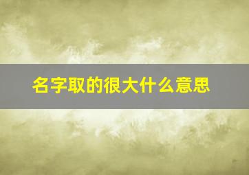 名字取的很大什么意思