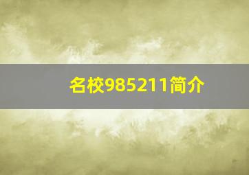 名校985211简介