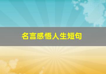 名言感悟人生短句