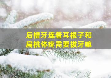 后槽牙连着耳根子和扁桃体疼需要拔牙嘛