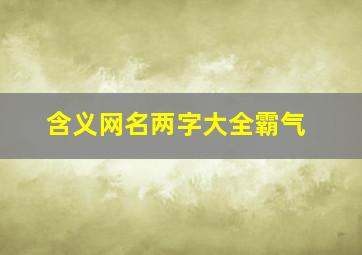 含义网名两字大全霸气