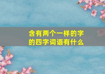 含有两个一样的字的四字词语有什么