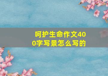 呵护生命作文400字写景怎么写的