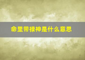 命里带禄神是什么意思