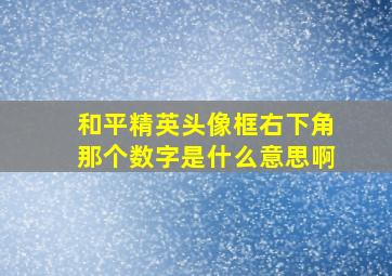 和平精英头像框右下角那个数字是什么意思啊