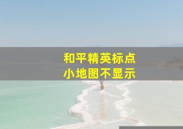 和平精英标点小地图不显示