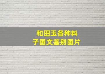 和田玉各种料子图文鉴别图片