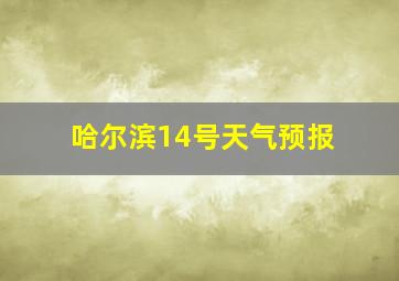 哈尔滨14号天气预报