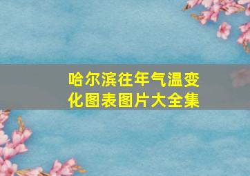 哈尔滨往年气温变化图表图片大全集