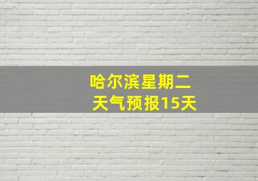 哈尔滨星期二天气预报15天