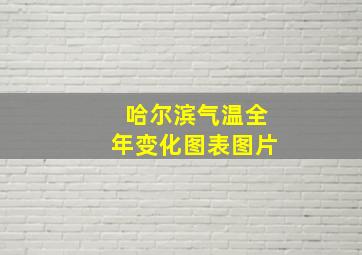 哈尔滨气温全年变化图表图片