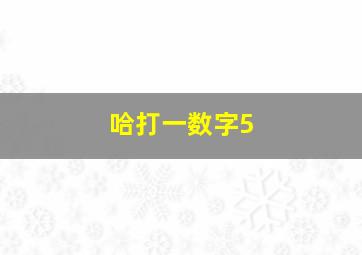 哈打一数字5