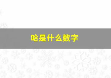 哈是什么数字