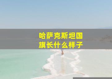 哈萨克斯坦国旗长什么样子