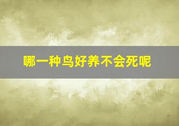 哪一种鸟好养不会死呢