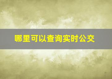 哪里可以查询实时公交