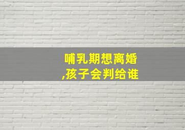 哺乳期想离婚,孩子会判给谁