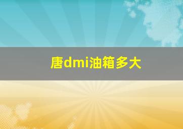 唐dmi油箱多大