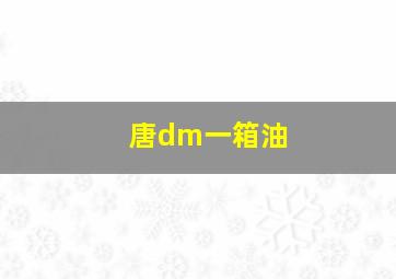 唐dm一箱油