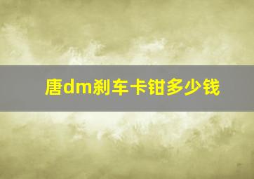 唐dm刹车卡钳多少钱