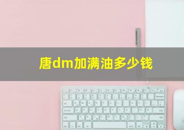 唐dm加满油多少钱