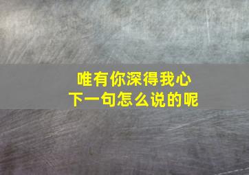 唯有你深得我心下一句怎么说的呢