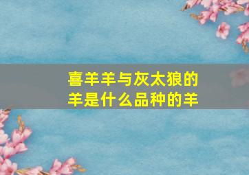 喜羊羊与灰太狼的羊是什么品种的羊