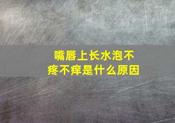 嘴唇上长水泡不疼不痒是什么原因