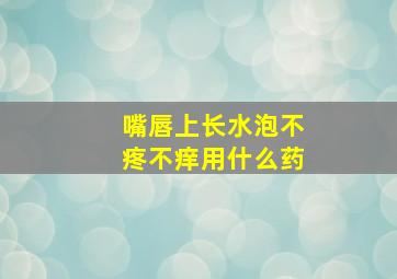 嘴唇上长水泡不疼不痒用什么药