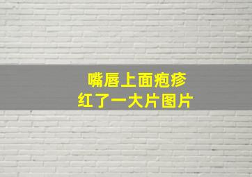 嘴唇上面疱疹红了一大片图片