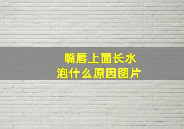 嘴唇上面长水泡什么原因图片