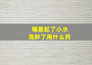 嘴唇起了小水泡肿了用什么药