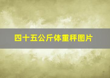 四十五公斤体重秤图片