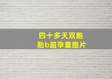 四十多天双胞胎b超孕囊图片