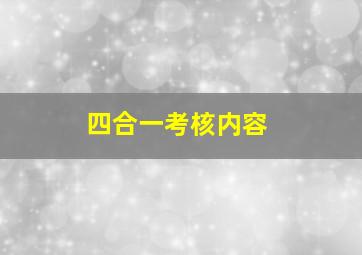 四合一考核内容