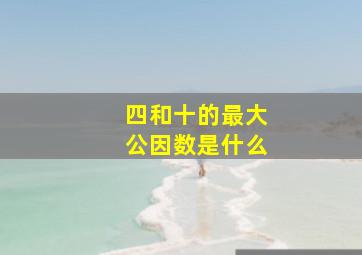 四和十的最大公因数是什么