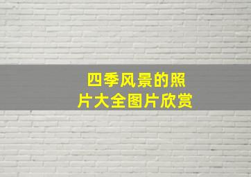 四季风景的照片大全图片欣赏