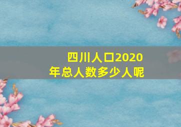 四川人口2020年总人数多少人呢