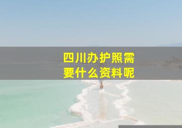 四川办护照需要什么资料呢