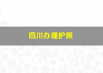 四川办理护照