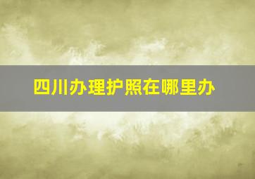 四川办理护照在哪里办